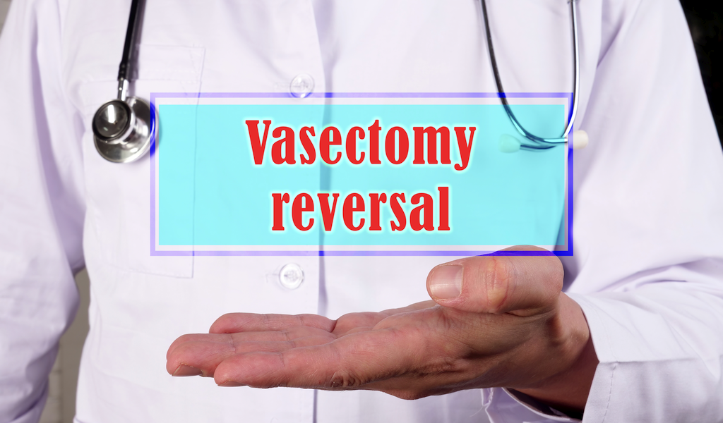 Everything You Need to Know About Vasectomy Cost in Auckland
