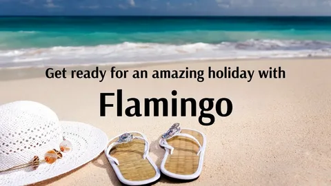 Top Experiences Included in Flamingo Travels Japan Tour Packages